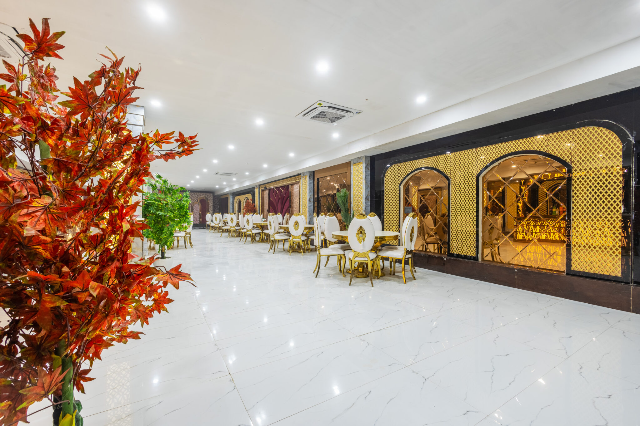 Conference Hall Accent Park Hotel Noida