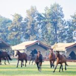 luxury wedding venue in noida