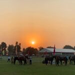 pre wedding shoot venue & best site near delhi at farmhouse in noida