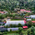 resort in kasauli