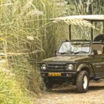 Jungle safari & wildlife resort near Delhi