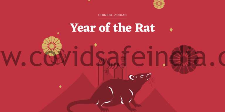 year of the rat| year of the rat 2020| year of the rat predictions| what does year of the rat symbolize