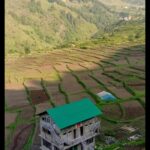 pet friendly villa and family cottage near chandigarh