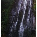 boutique family villa for rent in himachal